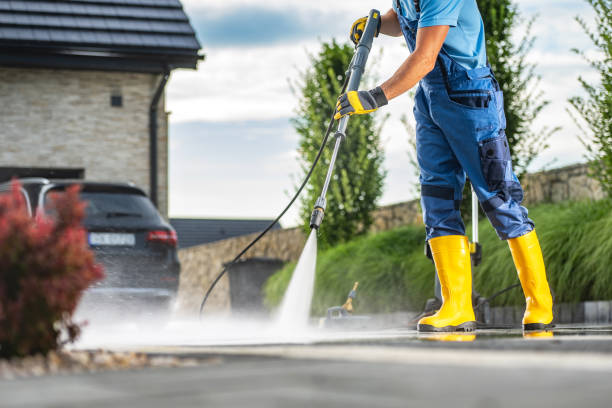 Best Roof Washing  in Sauk Vlage, IL